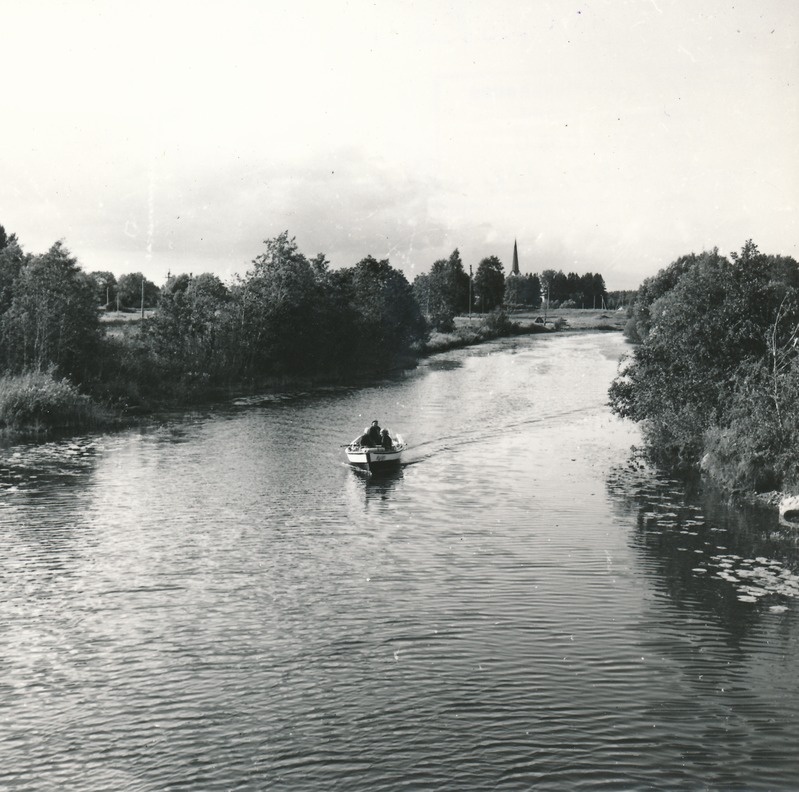 Avijõgi Lohusuus