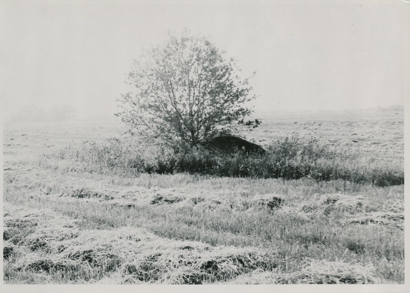 Kultusekivi Kalmeistri küla põhjaserval