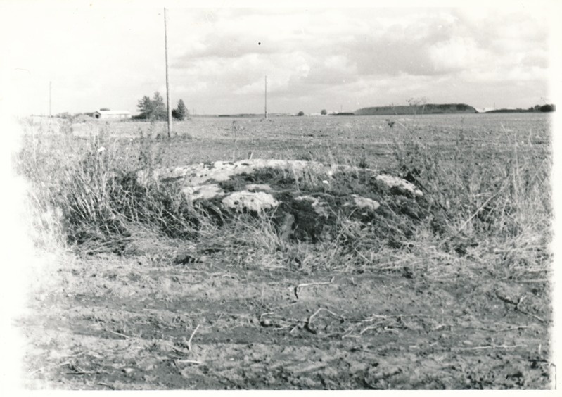 Kultusekivi Maidla külas