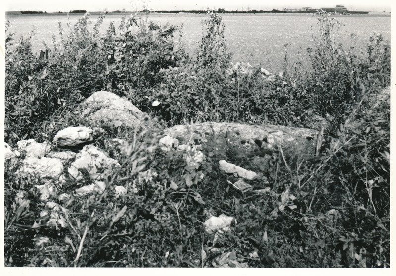 Kultusekivi Maidla külas