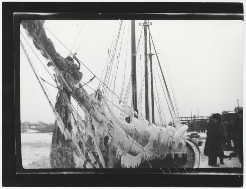 Purjelaev "Thorvald" sadamas.