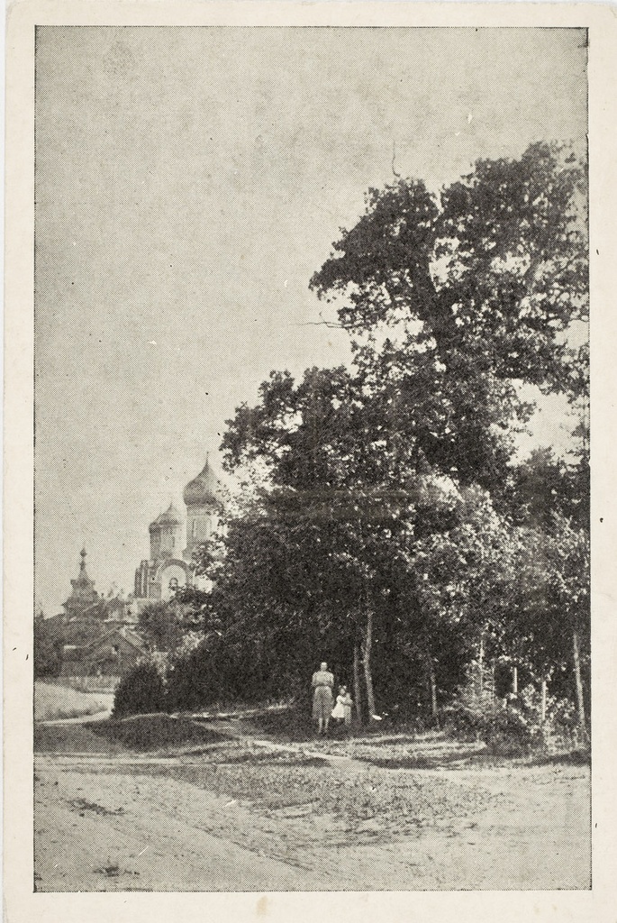 Kuremäe. Holy oak.