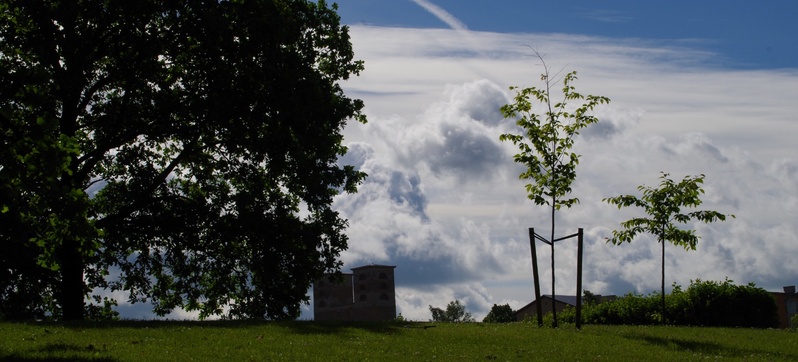 Rakvere, laps kelguga Ausambamäel rephoto