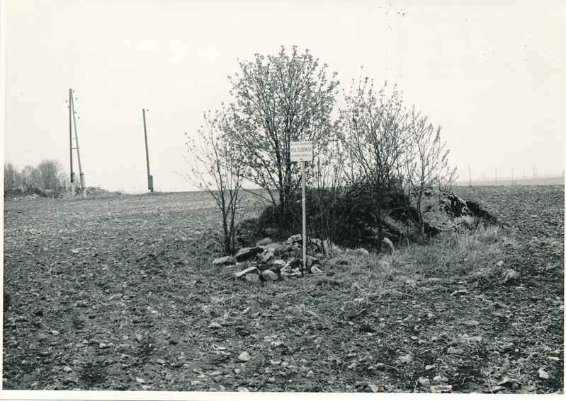 Kultusekivi Tallinn-Narva mnt Sausti asulasse pöörduva tee läänekaldal