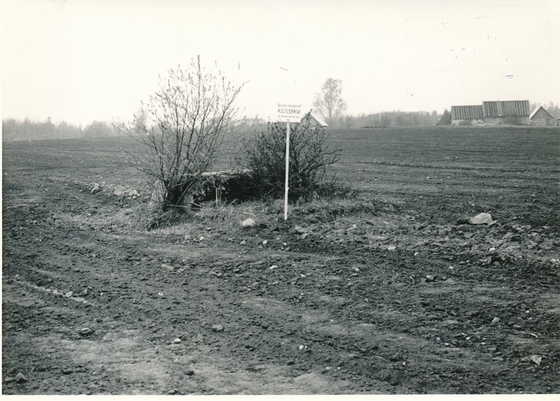 Kultusekivi Tallinn-Narva mnt Sausti asulasse pöörduva tee läänekaldal