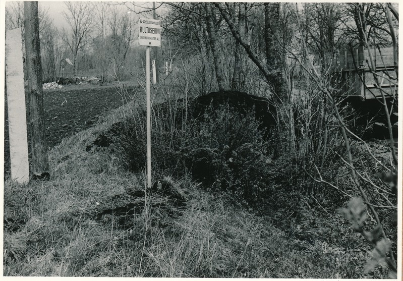 Kultusekivi Tallinn-Narva mnt Sausti asulasse pöörduva tee läänekaldal