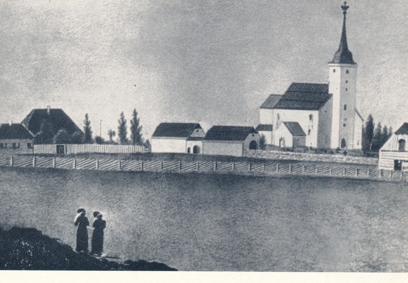 Baeride suguvõsa kabel Koerus