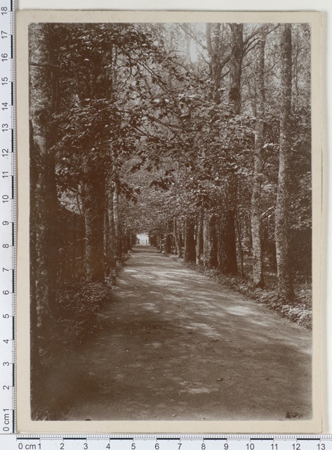 Virumaa, Jõhvi khk, Pagari manor puiestee 1909