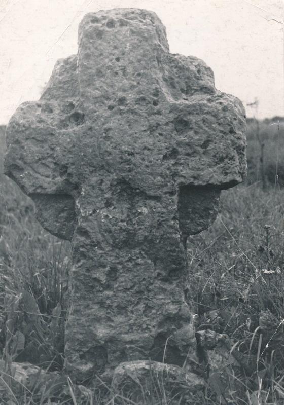 Kivirist