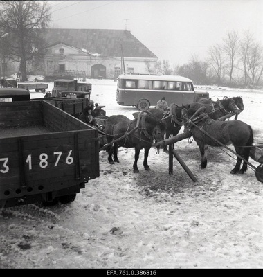 Filming the "Earl" film. Trucks, buses and horsemen with vans are waiting in the courtyard.  similar photo