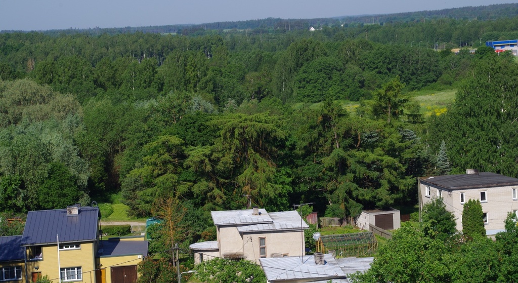 View from the castle towards Vallikraavi Street rephoto