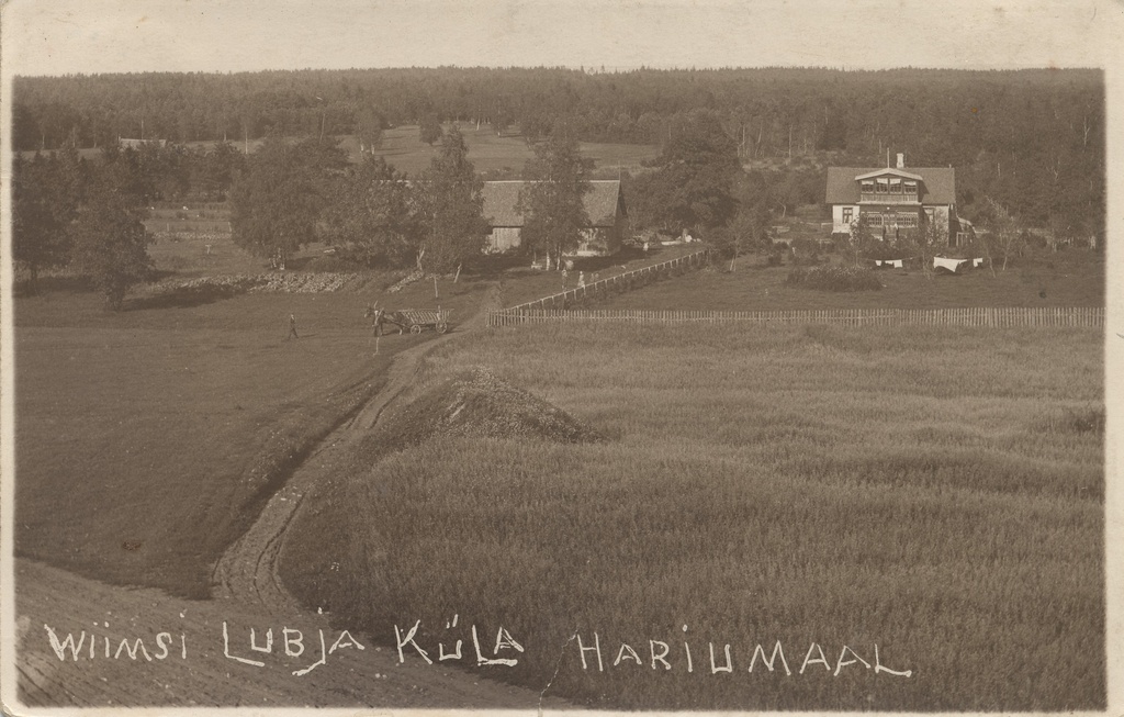 Wiimsi Lubja village in Harjumaa
