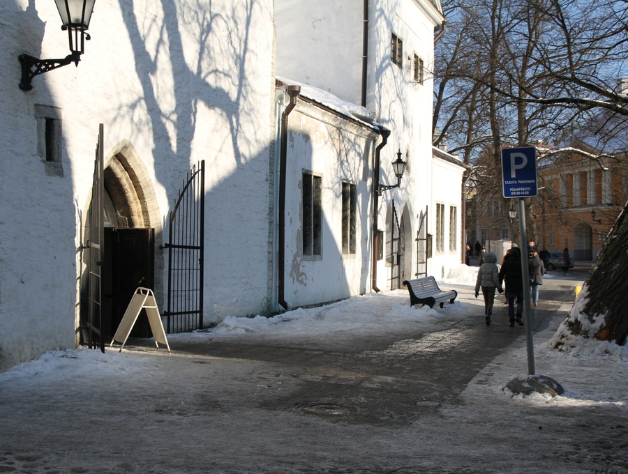Toompea kiriku esised puud rephoto