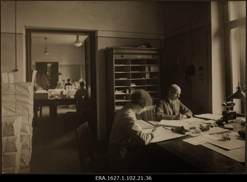 Valueleader g. Taft (g. Jaft)