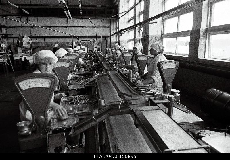 Chocolhose Peipsi Kalur Kallaste fishing factory cech.