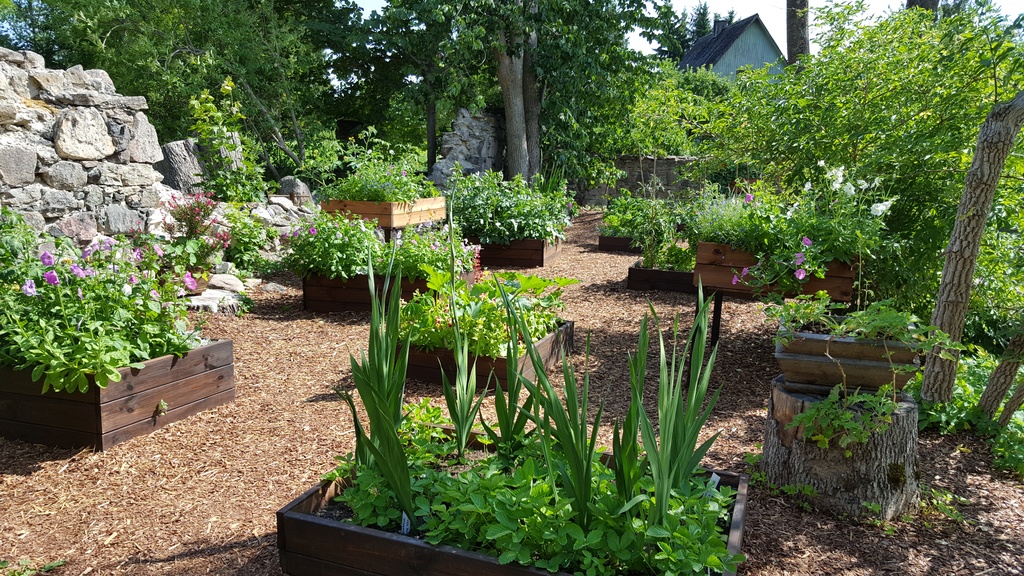 Suuremõisa flower garden
