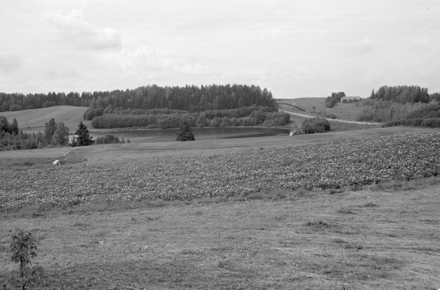Otepää landscape.