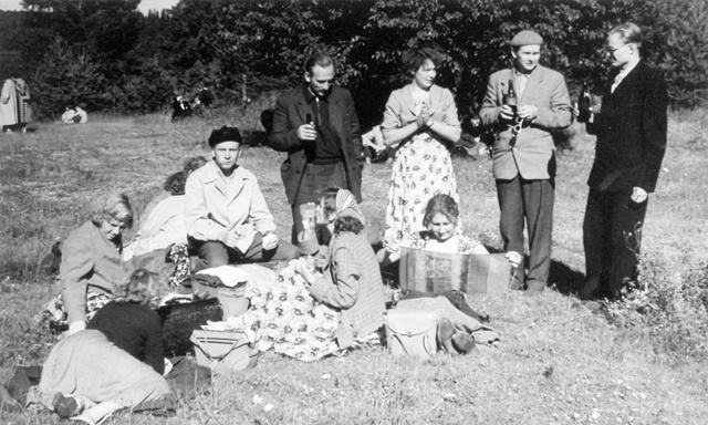 Otepää summer days picnic