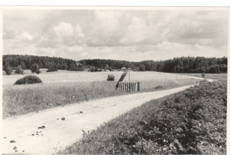 Otepää landscape on the road between Otepää-Ilmjärvi