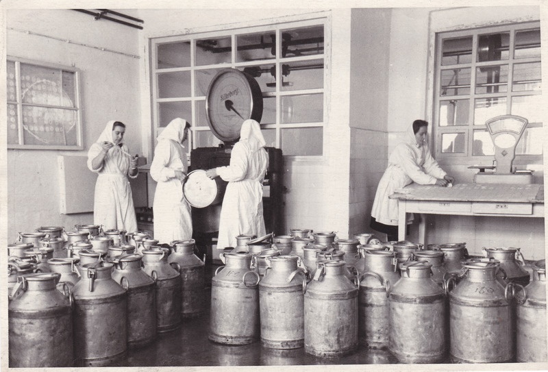 Piima vastuvõtt ja kvaliteedikontroll Tallinna PTK