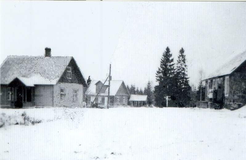 Rutikvere võitööstus 1950