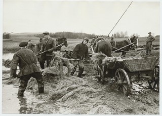 Extract of flax from the leash in Otepää district