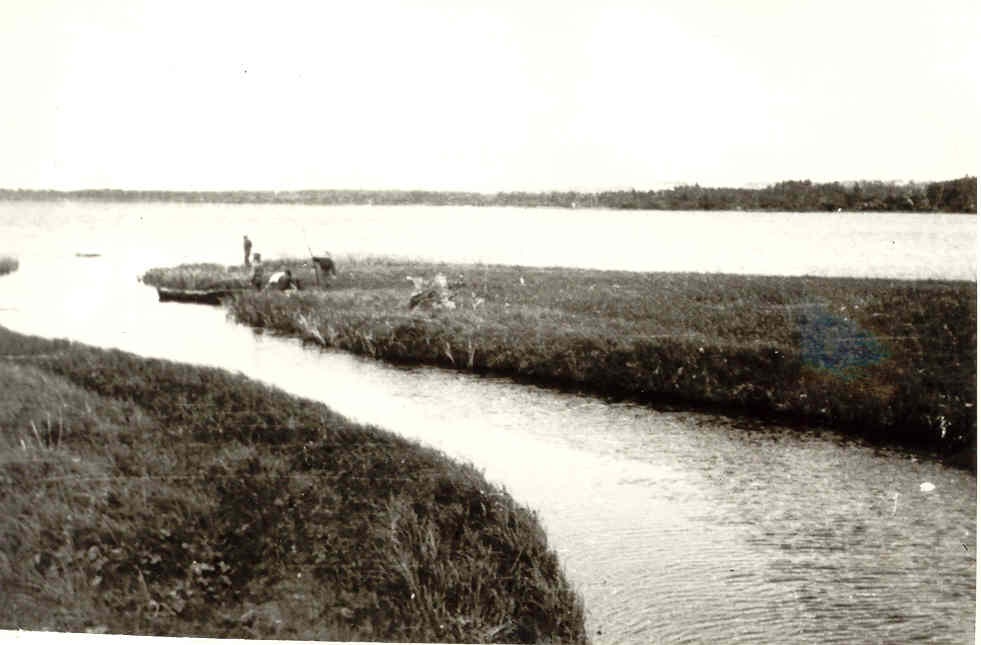 Õisu järv ja jõgi