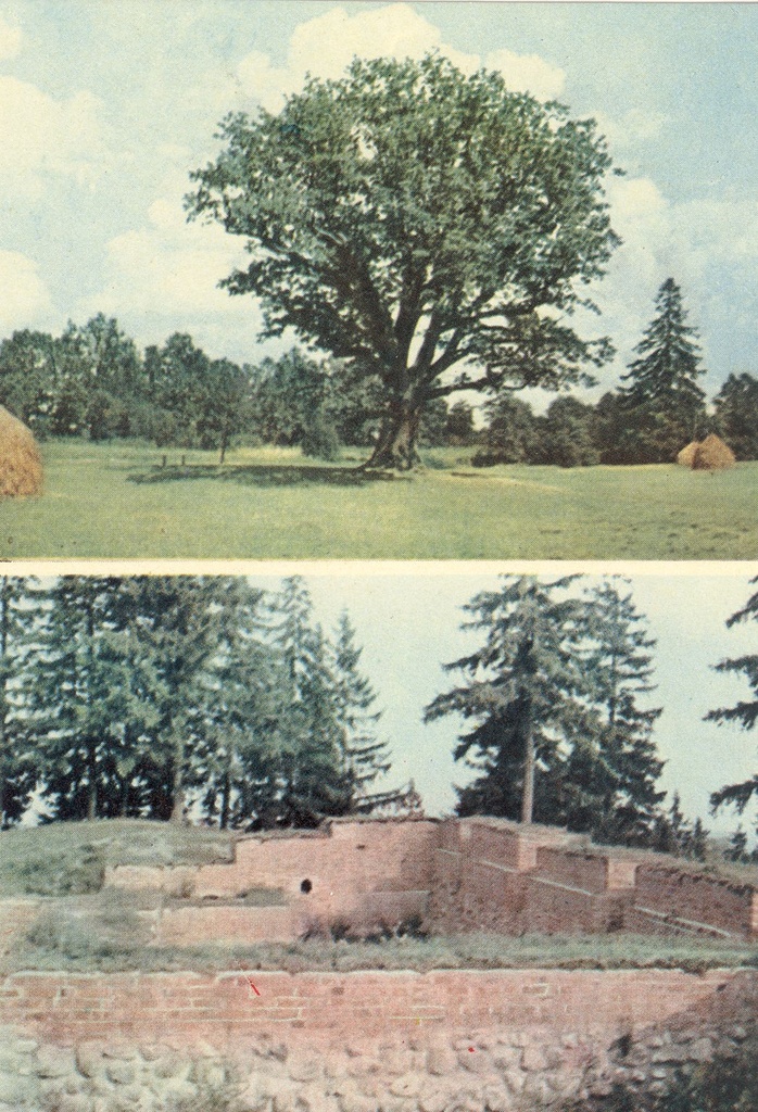 Photo montaz. Pühajärve tamm, Sõjatamm and Otepää linnamägi