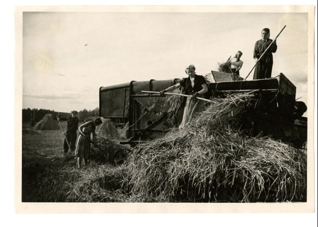Students of the Faculty of Economics in Crop Field in Mitsurini-named collois in Otepää district