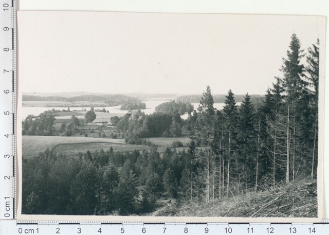 Looking at Hobusemägi, Otepää 1921
