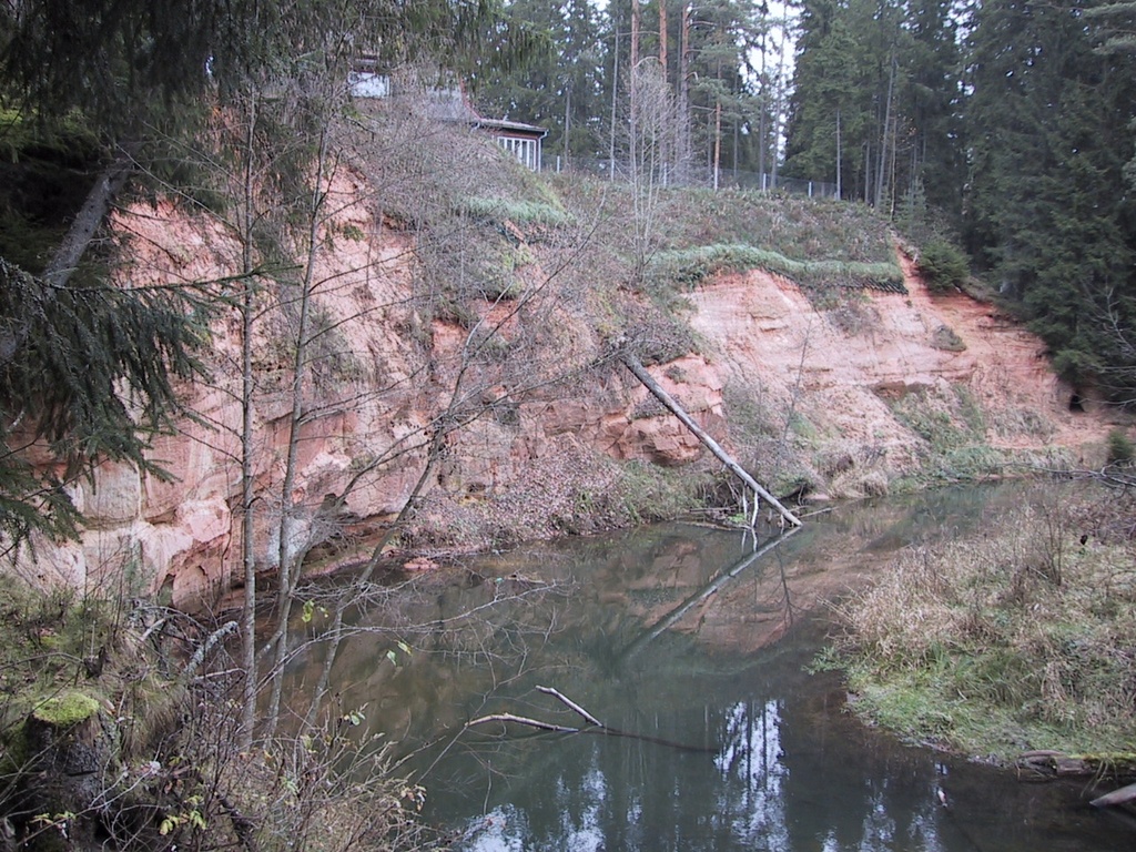 On the shore of the Ahja River in White Forest