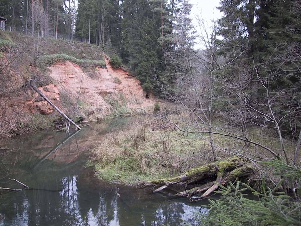 On the shore of the Ahja River in White Forest