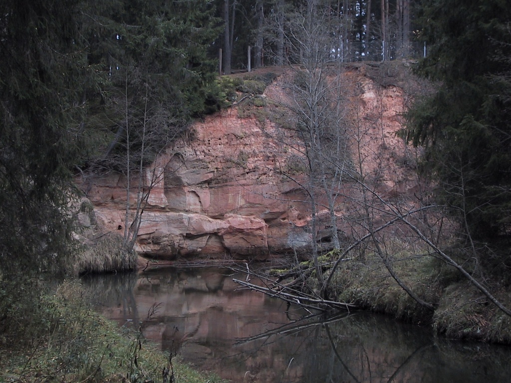 On the shore of the Ahja River in White Forest
