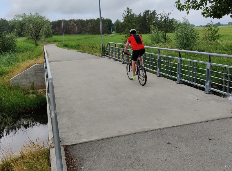 Foto. Paralepa jalakäijate sild vee all pärast 1981. a. novembritormi. rephoto
