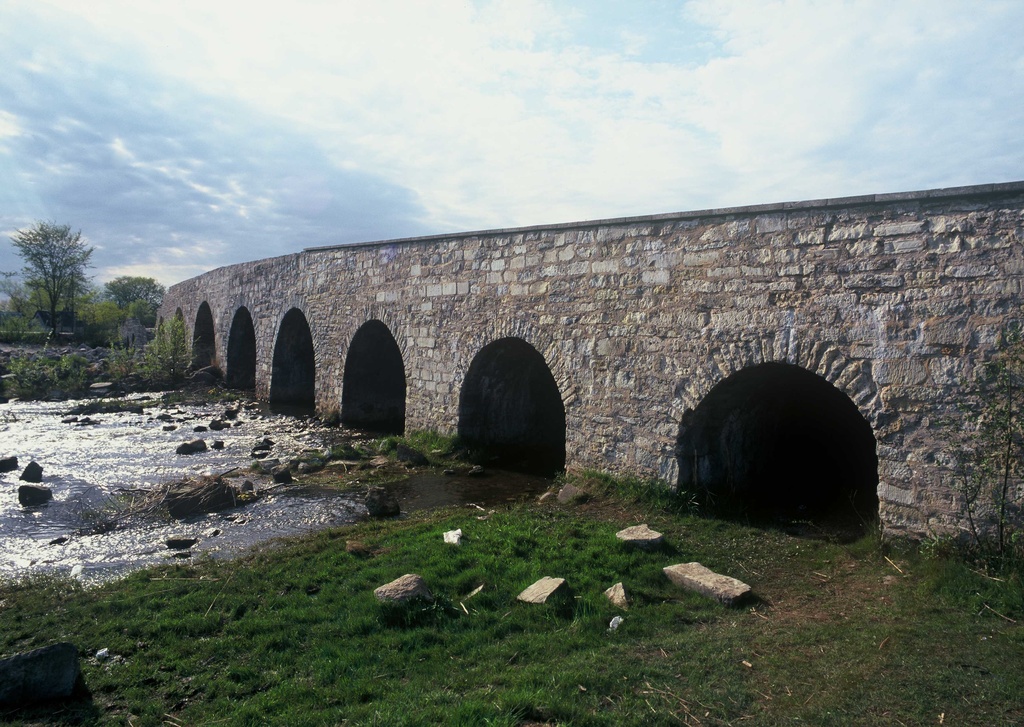 foto Aastanõupidamine 2010