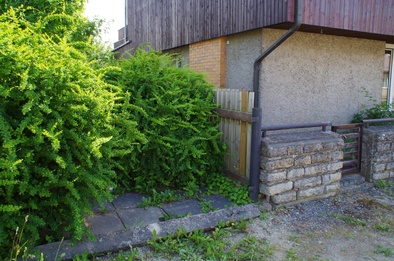 Mälestuskivi avamine farmaatsiadoktor Alma Tomingase sünnikodus rephoto
