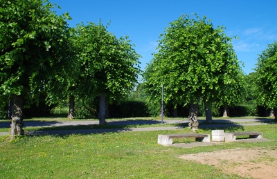 Rakvere Õpetajate Seminari staadionil rephoto