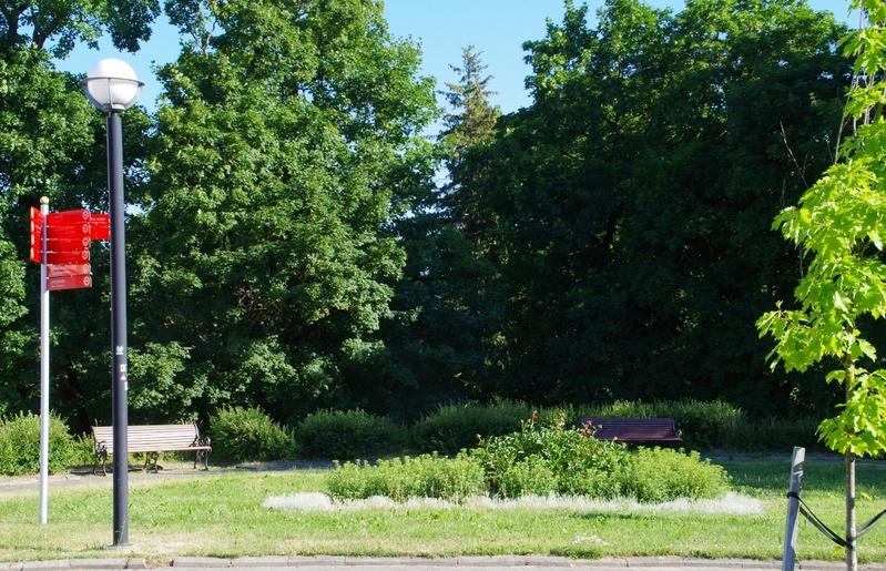 Rakvere Rahvaaia suvelava rephoto