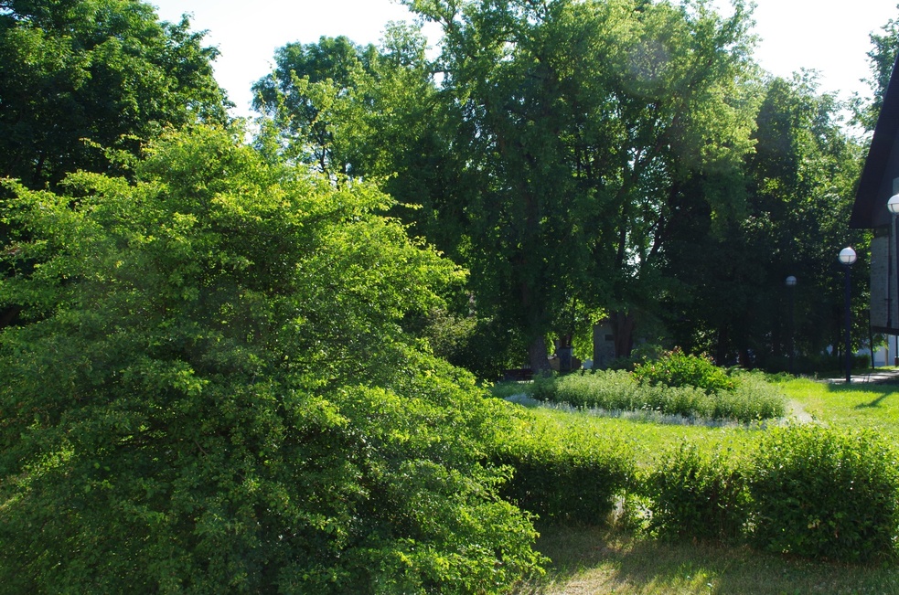 Esinejad rahvaaias rephoto