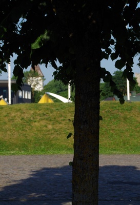 Vello Puujala pilt Rakvere Turu platsil rephoto