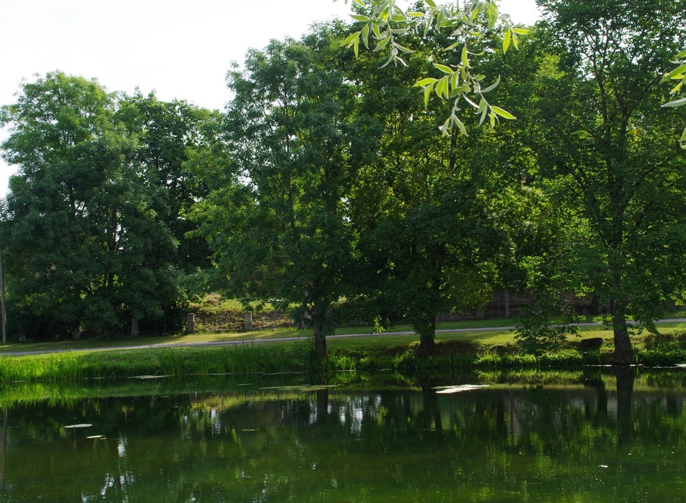 Leonhard Kuivkaev sõpradega uisutamas rephoto