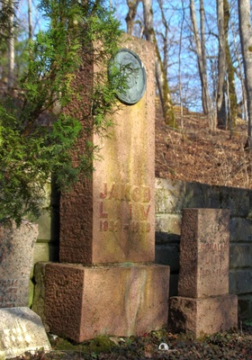 Rakvere linna kalmistu rephoto
