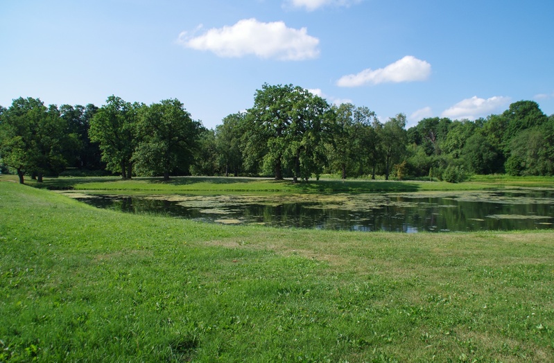 Kunstnik Anne Kokkovi maastikukunsti üritus Rakveres rephoto