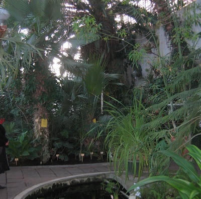Tartu botaanikaaia palmimaja, sisevaade. Arhitekt Ingrid Mardi, insener Tõnu Keskküla; EMP rephoto
