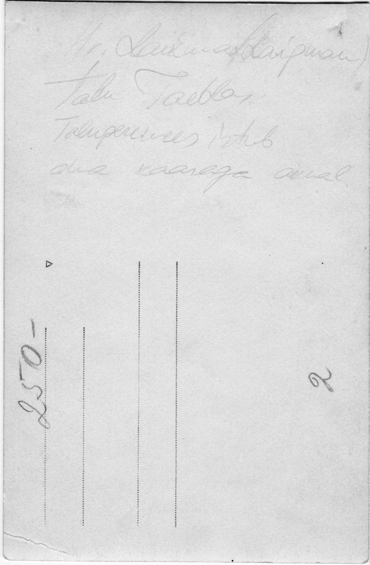 Kunstnik Ants Laikmaa aiamaja Taeblas