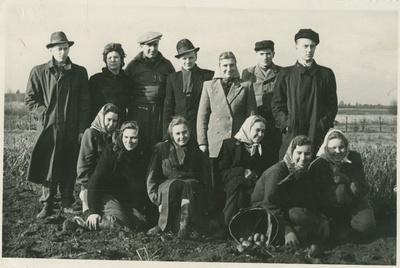 TPI keemiateaduskonna üliõpilased ja õppejõud sügisestel koristustöödel kolhoosis, grupipilt, 1952.a.  duplicate photo
