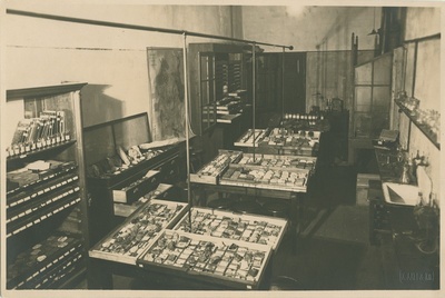 Tallinna Tehnikumi mineraloogia ja geoloogia kabinet Tolli 8, 1928.a.  duplicate photo