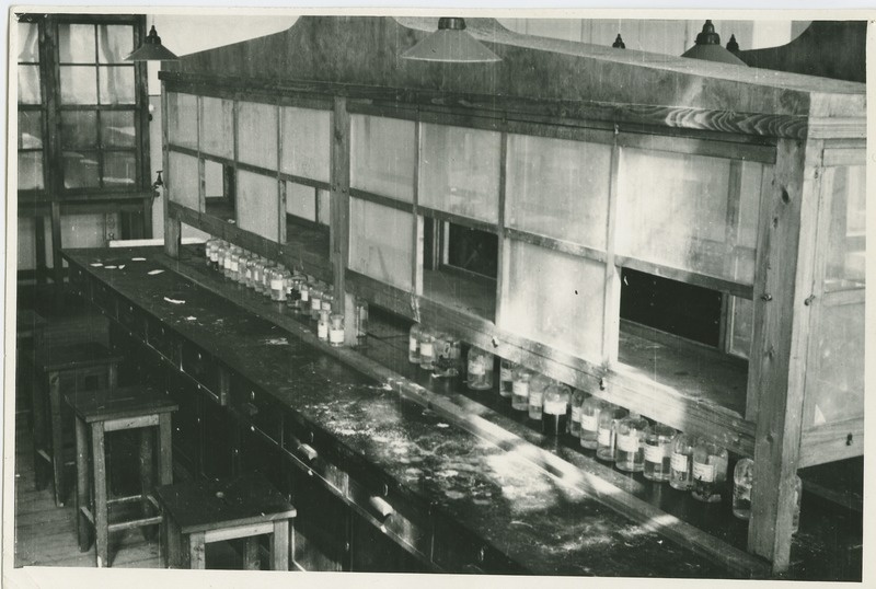 TTÜ anorgaanilise keemia labor, 1939.a.