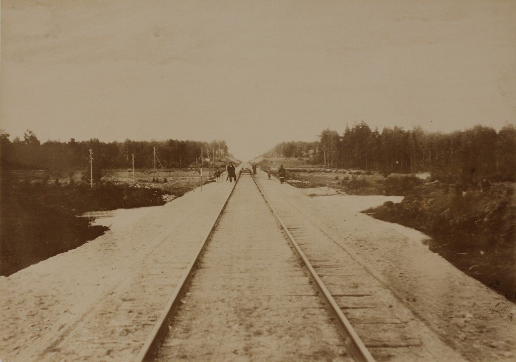Raudteerööpad läbi Vastseliina soo / Railroad tracks through the Vastseliina Wetlands