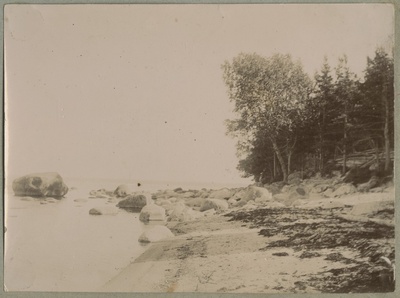 Rändrahnudega rannik / Coast with erratic boulders  duplicate photo